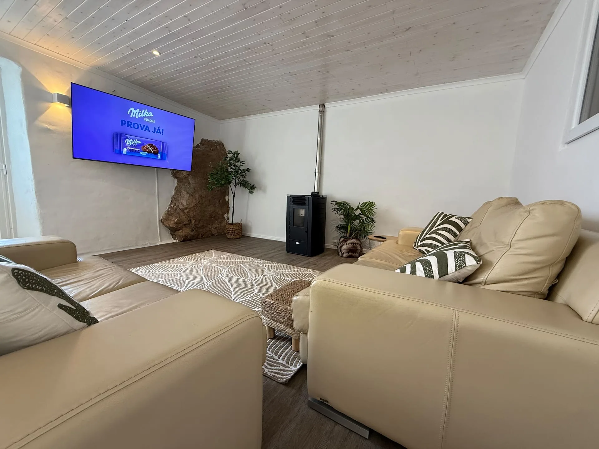 Detalhe da casa entre limoeiros