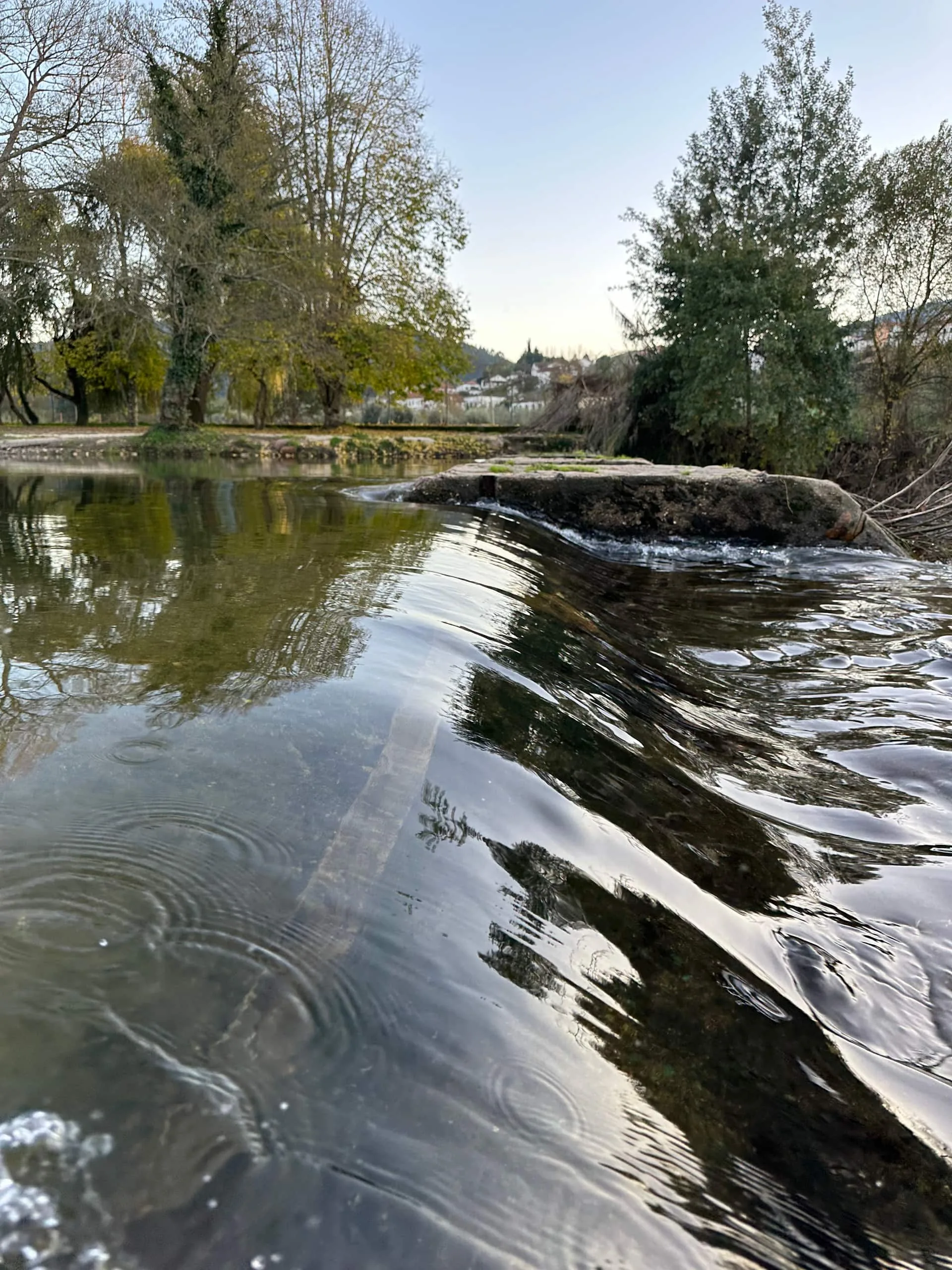 Detalhe rústico em tons naturais