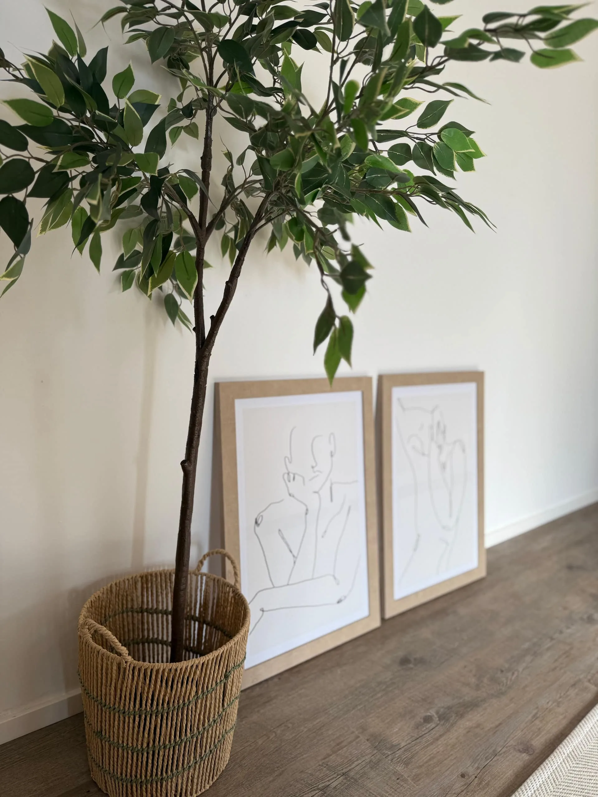 Exterior da casa entre limoeiros