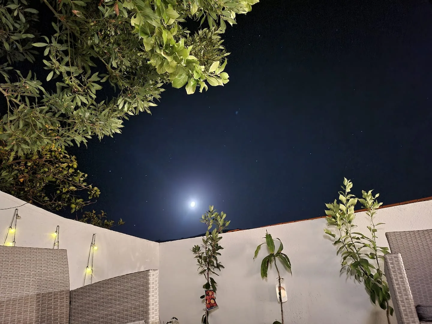 Quarto em tons naturais