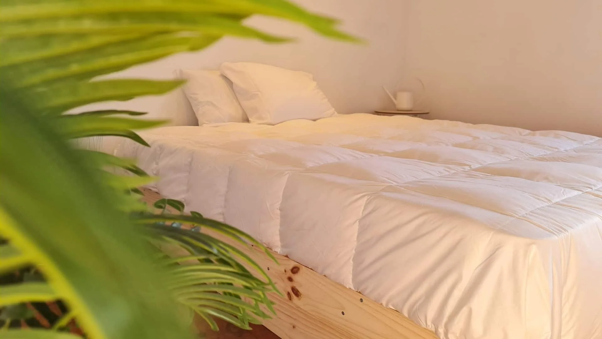 Vista geral dos espaços interiores