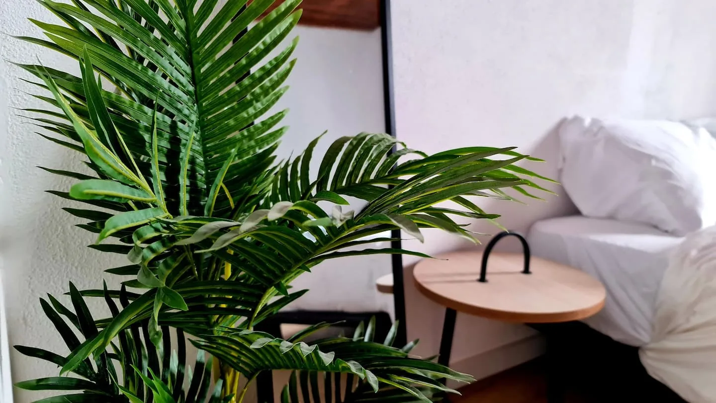 Paisagem do rio Ceira